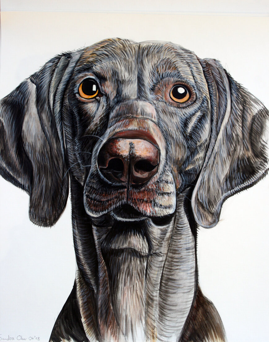 Dogs — painting by Sandra Ober (2020)