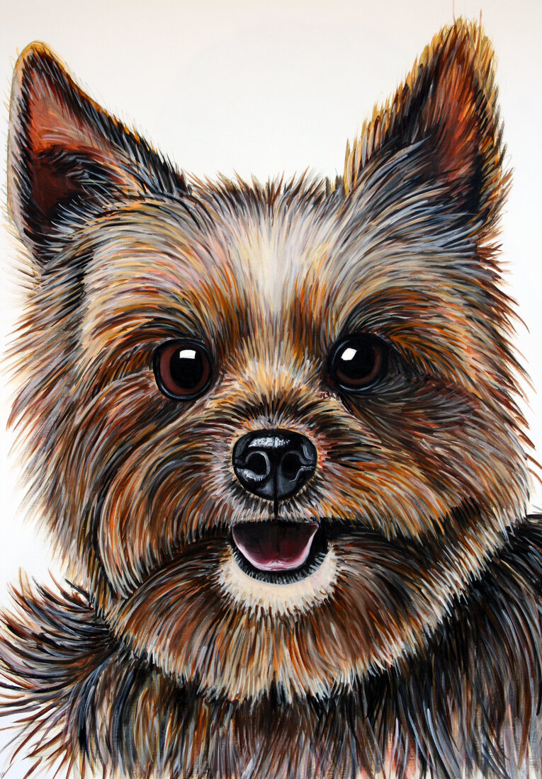 Dogs — painting by Sandra Ober (2020)