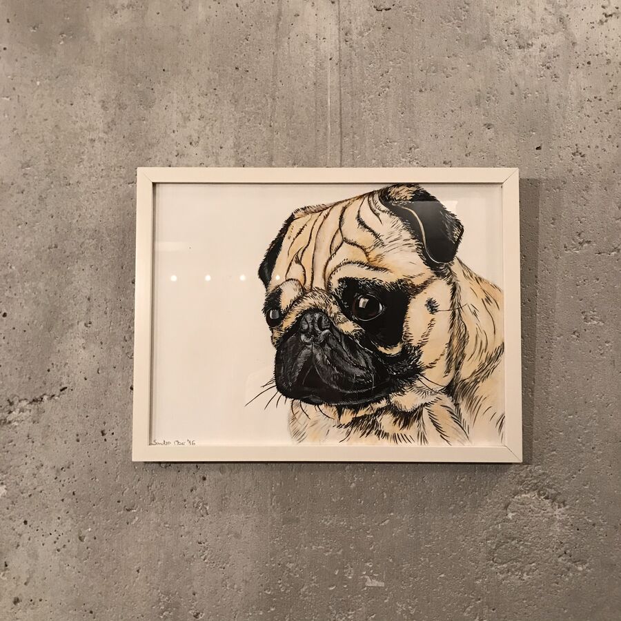 Dogs — exhibition view at Kaffeemitte