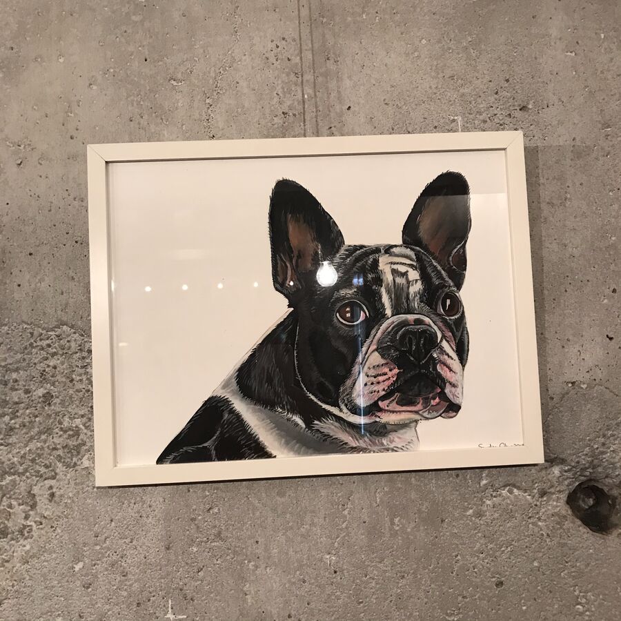 Dogs — exhibition view at Kaffeemitte