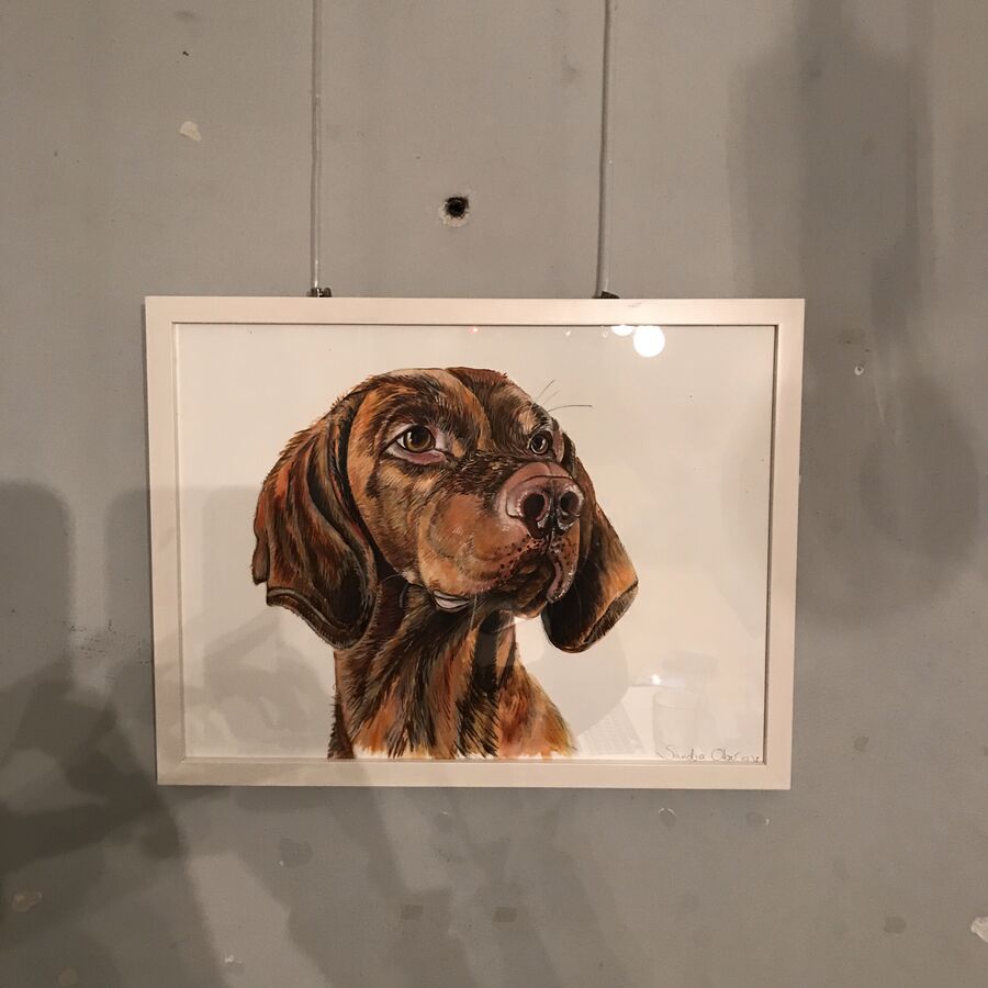 Dogs — exhibition view at Kaffeemitte