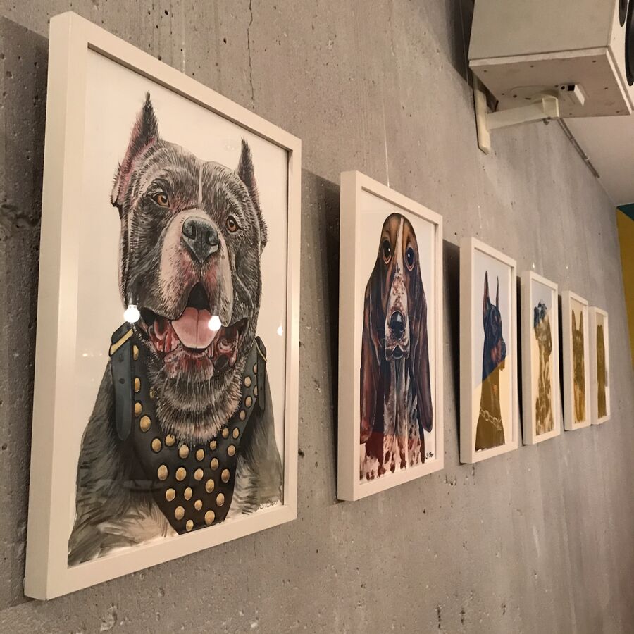 Dogs — exhibition view at Kaffeemitte