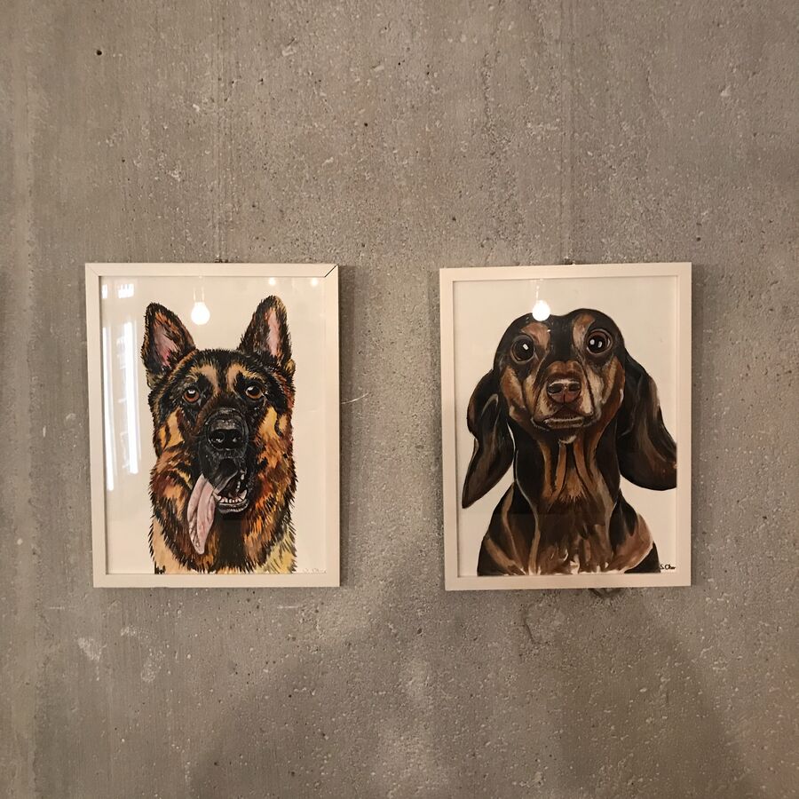 Dogs — exhibition view at Kaffeemitte