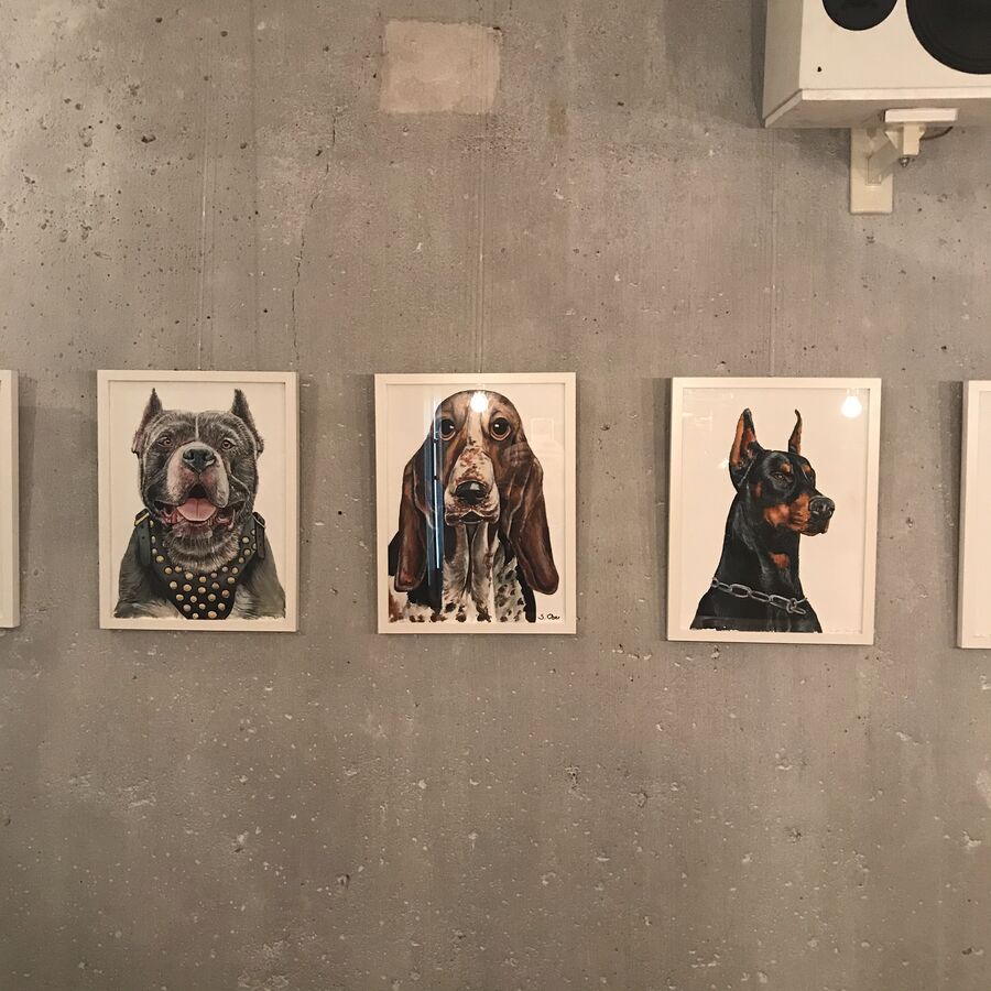 Dogs — exhibition view at Kaffeemitte