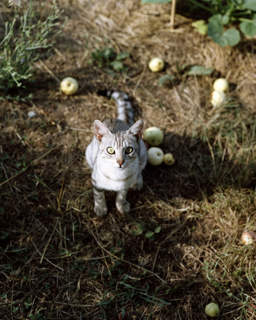 Umbria — Linda Nau, Analog photography