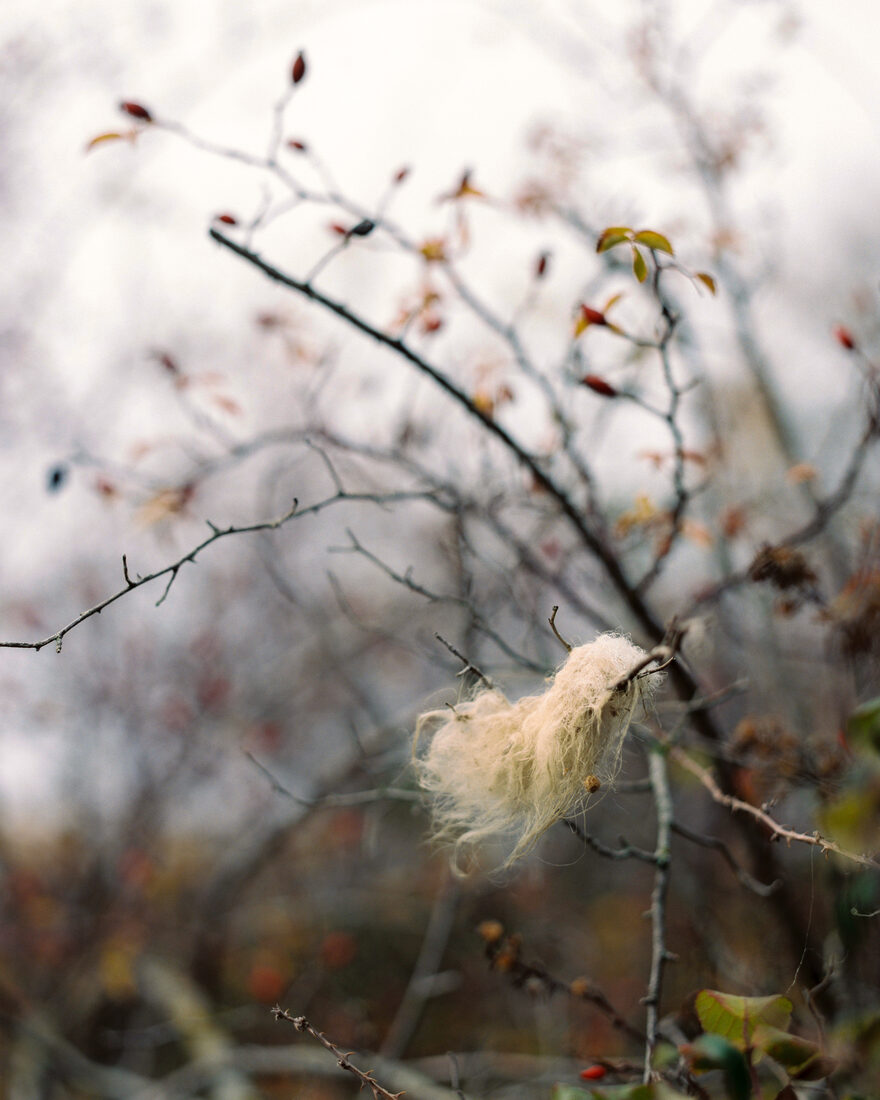 Umbria — Linda Nau, Analog photography